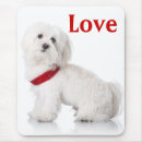 Zoek naar bichon frise muismatten Puppy