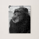 Zoek naar monkey puzzels Schattig
