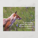 Zoek naar wildlife briefkaarten Schattig