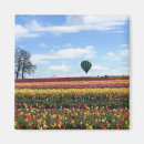 Zoek naar klompen magneten Tulpen