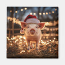 Zoek naar varken magneten Schattig