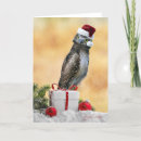 Zoek naar oliver kaarten Kerstmis