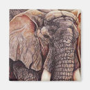 Zoek naar afrikaanse olifant magneten Olifanten
