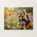Zoek naar yorkshire terrier puzzels Schattige honden