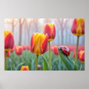 Zoek naar lieveheersbeestje posters Meditatie