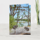 Zoek naar wombat kaarten Australisch