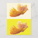 Zoek naar phoenix vogel briefkaarten Vogels