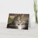 Zoek naar verrichting briefkaarten Word goed