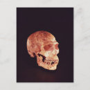 Zoek naar neanderthaler posters Hominid