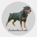 Zoek naar rottweiler hond stickers Draaimolens
