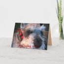 Zoek naar hoopvol kaarten Aanmoediging