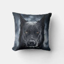 Zoek naar german shepherd kussens Dieren