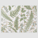 Zoek naar varen tissue papier Natuur