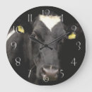 Zoek naar holstein klokken Dier