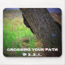 Zoek naar kat meme muismatten Voor iedereen