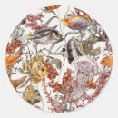 Zoek naar zee koraal stickers Boot