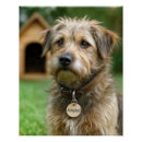 Zoek naar adoptie posters Redding