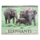 Zoek naar olifant kalenders Safari