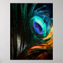 Zoek naar vogelveren posters Voor iedereen