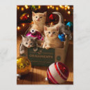 Zoek naar grappige katten uitnodigingen Kittens