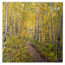 Zoek naar spoor tegels Herfst