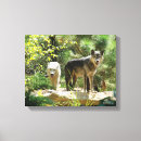 Zoek naar wolven canvas prints Honden
