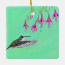Zoek naar fuchsia ornamenten kolibrie
