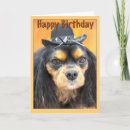 Zoek naar ik haat verjaardagen kaarten Huisdier