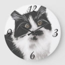 Zoek naar katachtige katten klokken Schattig