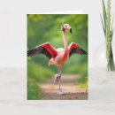 Zoek naar joggers kaarten Joggen