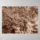 Zoek naar wijnoogst posters Retro