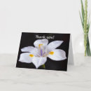 Zoek naar inspirerend briefkaarten Bijbel