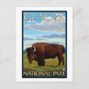 Zoek naar glacier briefkaarten Scène