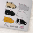 Zoek naar katjes stickers Katten