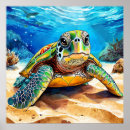 Zoek naar zeeschildpad posters Onder water