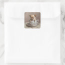 Zoek naar chihuahua puppy stickers Schattig