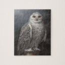 Zoek naar roofvogels puzzels Owl
