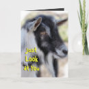 Zoek naar leuke geiten kaarten Humor