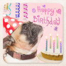 Zoek naar pug onderzetters Schattig