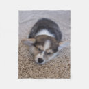 Zoek naar pembroke corgi dekens Schattig