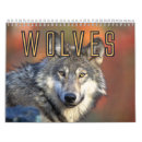 Zoek naar wolven kalenders Wolf
