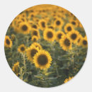 Zoek naar breekbaarheid stickers Kleurfoto