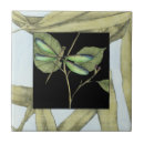 Zoek naar insecten tegels Bladeren