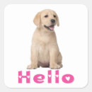 Zoek naar labrador puppy stickers Liefhebber