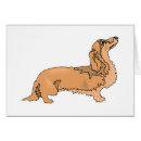 Zoek naar long hair dachshund briefkaarten Canine
