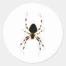 Zoek naar spinachtigen stickers Kruisspin