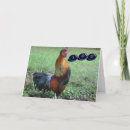 Zoek naar hanen kaarten Voor haar