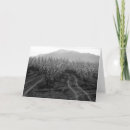 Zoek naar ansel adams kaarten Fotografie