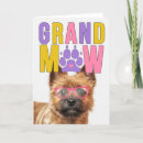 Zoek naar kleine honden kaarten Voor haar