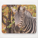 Zoek naar afrikaanse dieren muismatten Fotografie